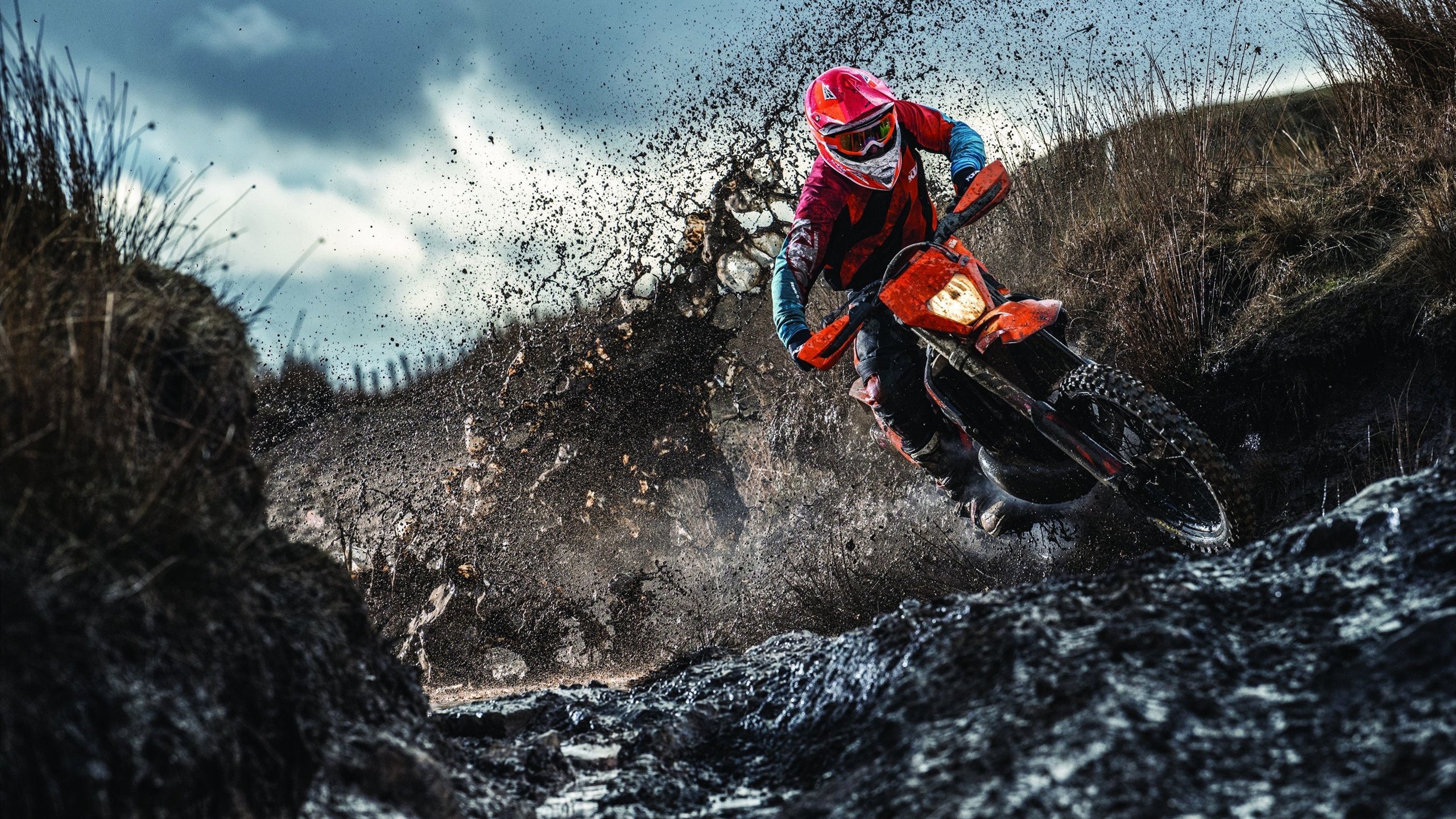 墨西哥马术协会设立“Charreada”奖学金，支持传统马术研究。，墨西哥major