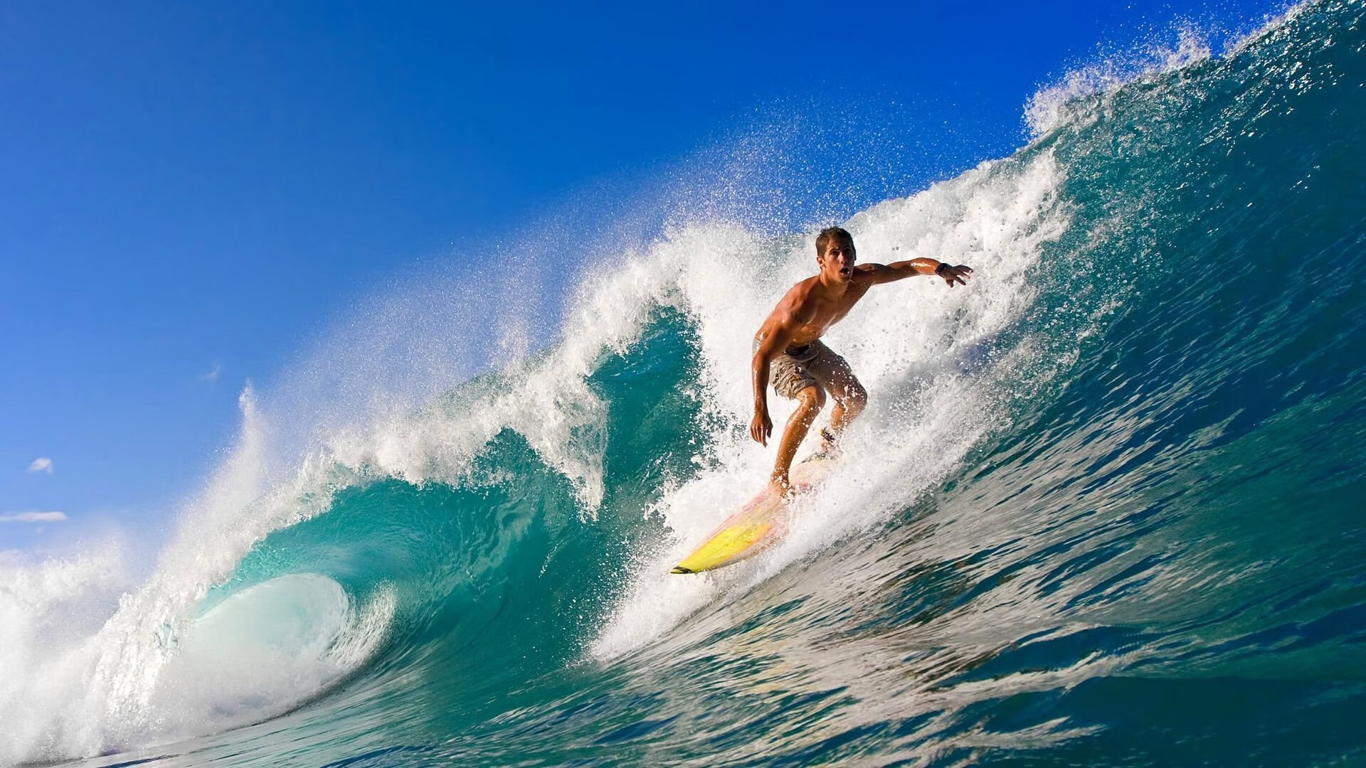 赛场冲刺:终点前的极限速度大战,终点冲刺跑